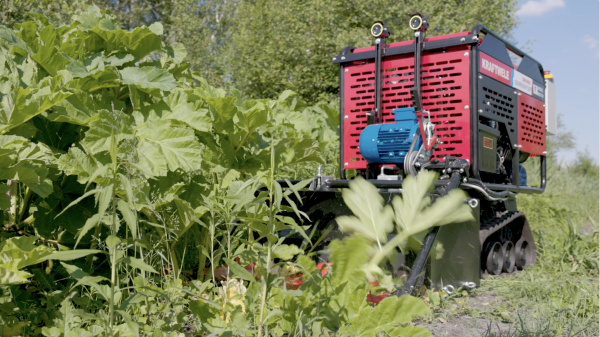 Microwave device for destruction of invasive plants